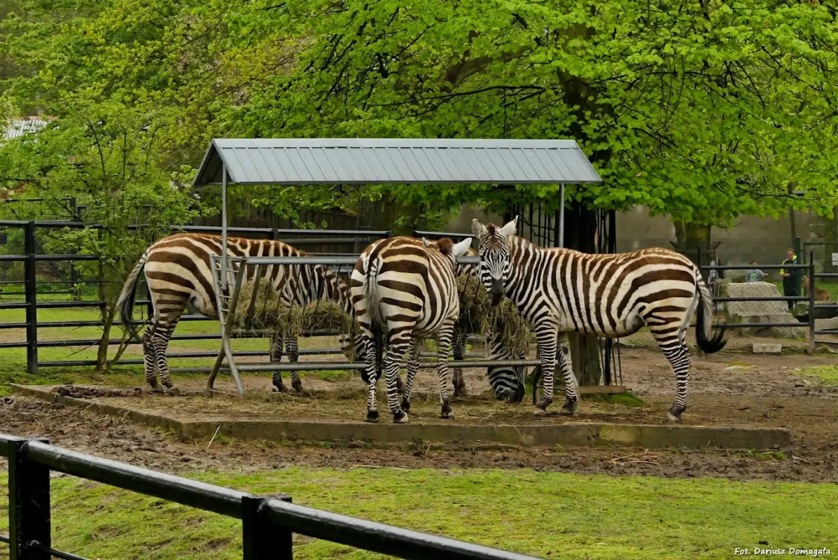 Śląski Ogród Zoologiczny